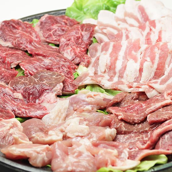 お歳暮 肉の山本 北海道セット 800g (たれ付き 冷凍品) 肉 カルビ サガリ 鶏モモ 豚バラ セット 詰め合わせ BBQ バーベキュー グルメ 送料無料 お取り寄せ