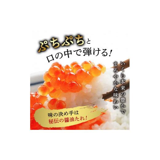 ふるさと納税 北海道 釧路市  いくら ほたて 計 1.5kg セット 北海道産 いくら 500g   ほたて 500g×2 いくらとほたてのセ…