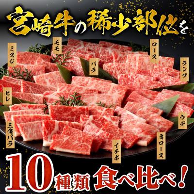 ふるさと納税 宮崎市 宮崎牛焼肉10種盛り合わせ(宮崎市)