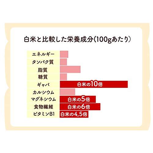 発芽玄米 無農薬（農薬・化学肥料不使用） コシヒカリ 2kg 令和5年産