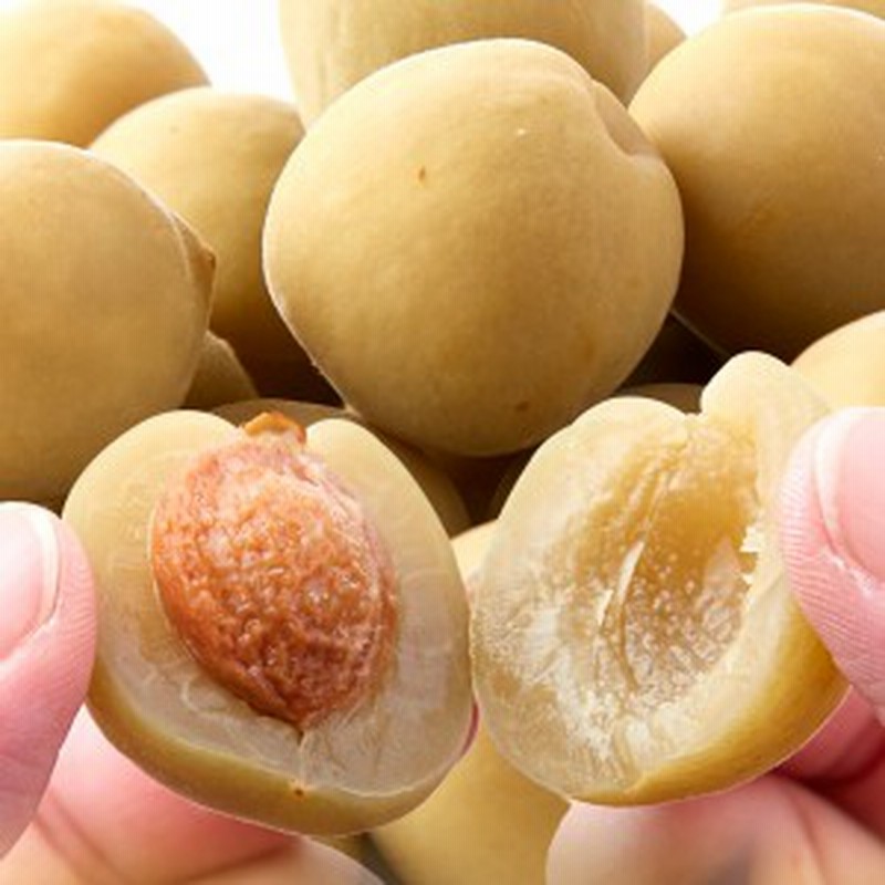 大粒カリカリ梅どっさり大容量500g 国産豊後梅100 無着色 お徳用 通販 Lineポイント最大1 0 Get Lineショッピング