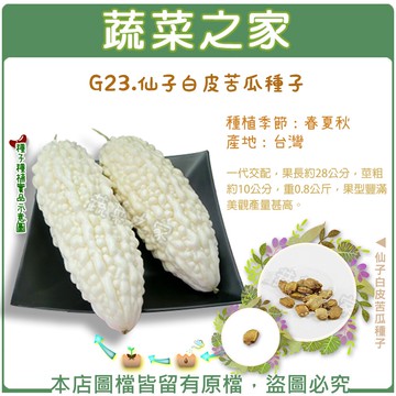 【蔬菜之家】G23.仙子白皮苦瓜種子(共有2種包裝可選)
