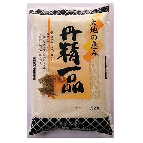 令和５年産 丹精一品 5kg×2 ブレンド米 国内産100％