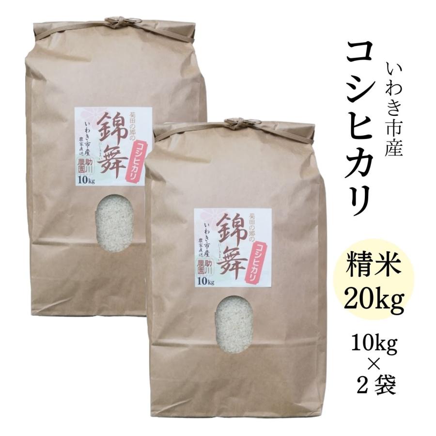 コシヒカリ 精米20kg いわき市産 令和5年産新米 農家直送米