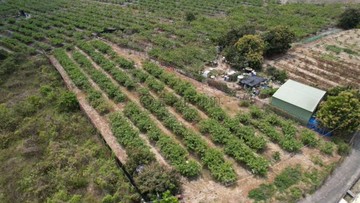 燕巢近國十/燕巢國中、區公所有水有電方正農地｜高雄市燕巢區南