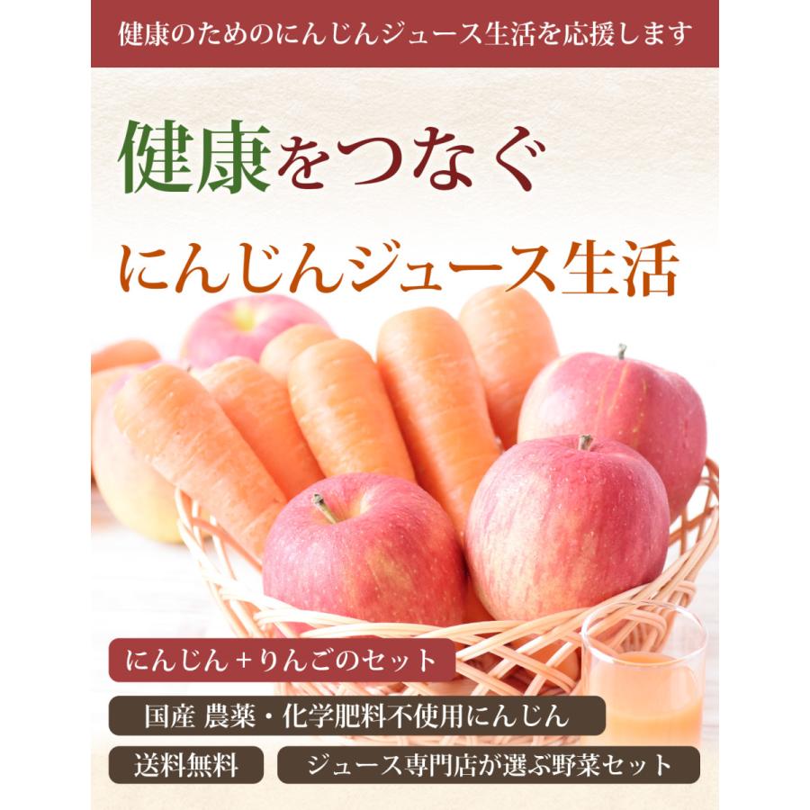 人参 無農薬にんじん 野菜セット 無農薬野菜 にんじんジュース ジュース用 にんじん3kg＋りんご2kg ゲルソン療法にも最適 訳あり