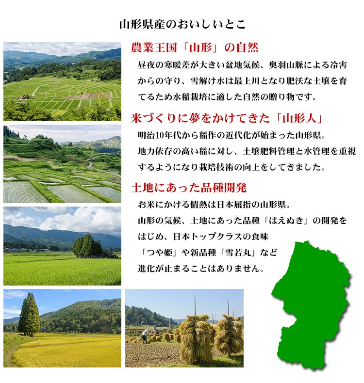 新米 米 白米 または 玄米 10kg 送料無料 つや姫 5kg×2袋 山形県産 令和5年産 つや姫 お米 10キロ 安い 送料無料