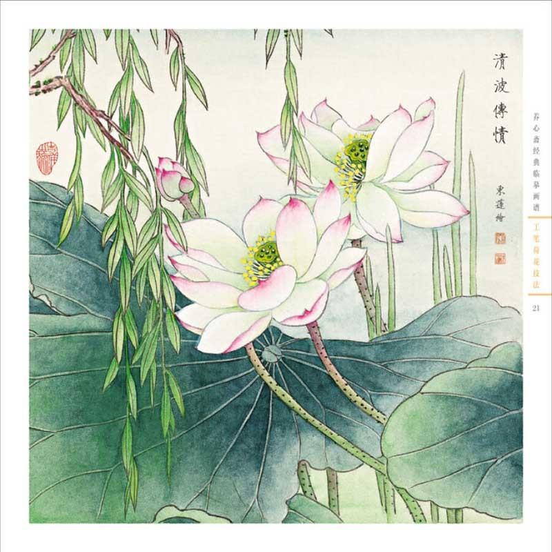 工筆蓮花技法　新編養心斎模写画譜　彩墨画技法書　中国語絵画書籍　 新#32534;#20859;心#25995;描#25721;画#35889;-工#31508;