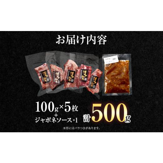 ふるさと納税 福岡県 田川市 博多和牛ヒレステーキ100g×5枚