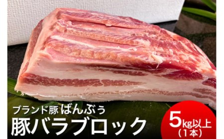 ブランド豚「ばんぶぅ」豚バラブロック1本 ばんぶぅ 豚肉 豚バラ肉 ブロック肉 しゃぶしゃぶ 焼き肉 豚バラ 真空パック しゃぶしゃぶ肉 焼肉用 ブタ肉 国産 茨城県産 ギフト プレゼント 冷蔵 高級部位 ブランド豚 ４２－Ｄ