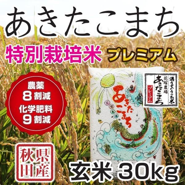 玄米 令和5年産新米 秋田県産 あきたこまち 特別栽培プレミアム 30kg 農薬8割減 化学肥料9割減 慣行栽培比 農家直送