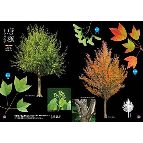 最高に美しい 身近な樹木ビジュアルカタログ 樹形・葉・花・実・季節の変化が一目でわかる