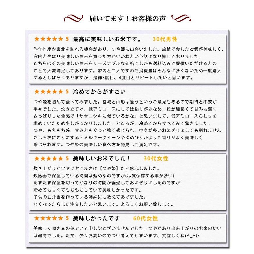 新米 お米 10kg 白米 送料無料 つや姫 5kg×2袋 宮城県産 令和5年産 1等米 お米 あす着く食品 北海道・沖縄は追加送料