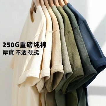 【台灣出貨】250g重磅短t 素面純棉短袖t恤男 素色 t恤 寬鬆大碼oversize t恤 透氣短袖上衣