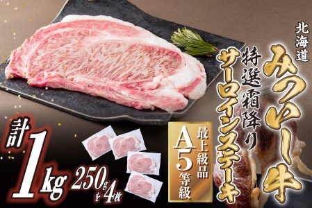 北海道産 黒毛和牛 みついし牛 A5  サーロインステーキ 計 1kg (250g×4枚)