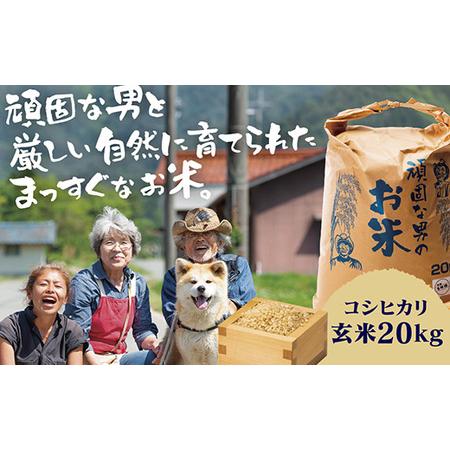 ふるさと納税 D-359 頑固な男のお米（コシヒカリ）玄米20kg 山口県山口市