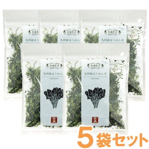 乾燥野菜 九州産ほうれん草（40g）