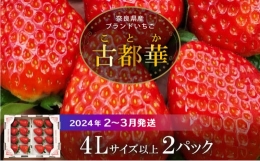 高級いちご「古都華」4Lサイズ以上２パック　いちご 高級 古都華 4Lサイズ以上 280g × 2パック 約560g 深みのある濃厚な味わい ほどよい酸味 高い糖度 華やかな香り 美味しく甘い 光沢のある 濃いルビー色 フルーツ 果物 宙吊り包装 お取り寄せ 送料無料