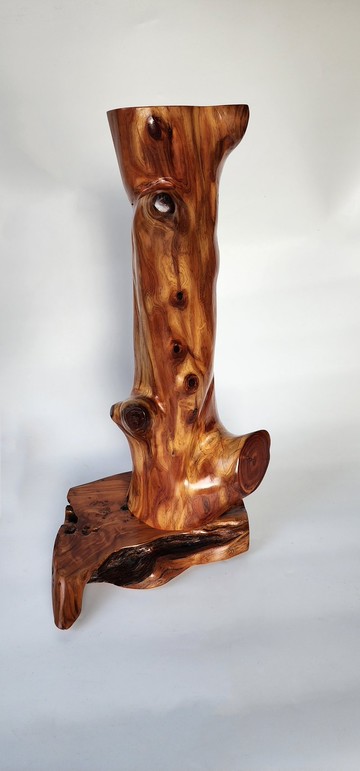 【Woodfun玩木趣】龍柏原木萬用底座 收藏增值