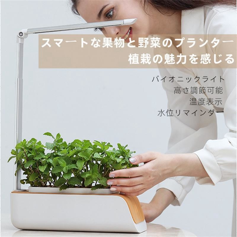 水耕栽培キット 水耕栽培 セット  野菜 花 果物 LED 発芽 育苗