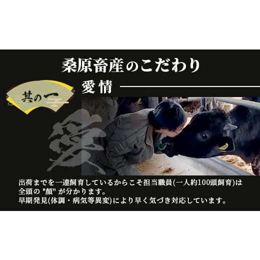 ふるさと納税 佐賀県 鹿島市 佐賀牛 ロース ステーキ用 500g (2枚入) D-173