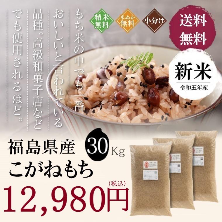 米 お米 30kg もち米 福島県産 こがねもち 送料無料 精米 令和５年産