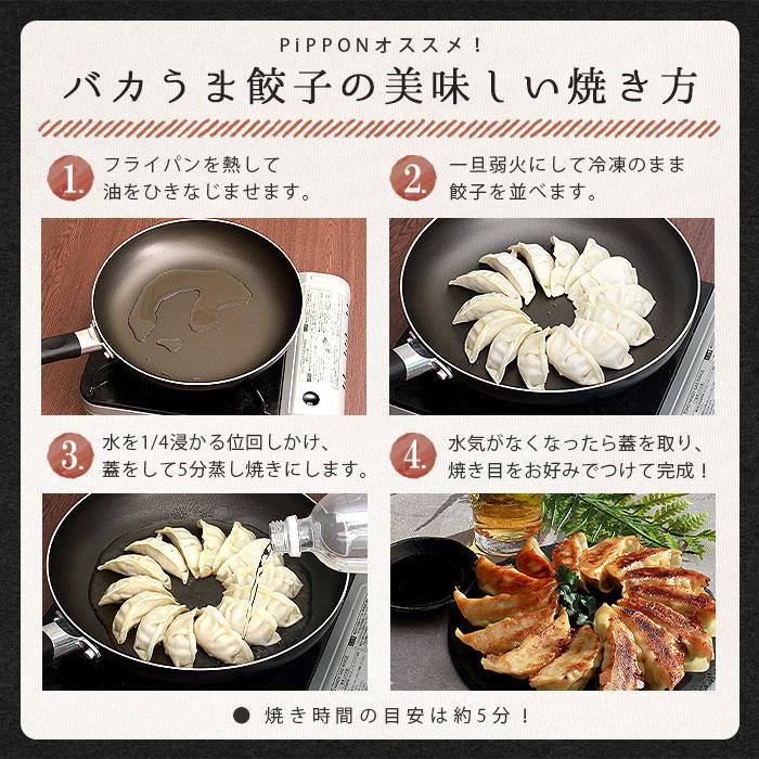 餃子 ぎょうざ ギョウザ ギョーザ gyouza 20個 50個 国産 国産豚肉 国産野菜 豚肉 海老餃子 海老 えび エビ 中華 食品 冷凍 冷凍餃子 美味しい ニンニクあり