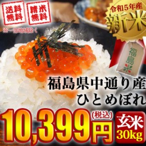 新米 お米 令和5年産 福島県中通り産ひとめぼれ 玄米:30kg(白米:約27kg)  精米無料 送料無料 ※沖縄県・離島対応不可