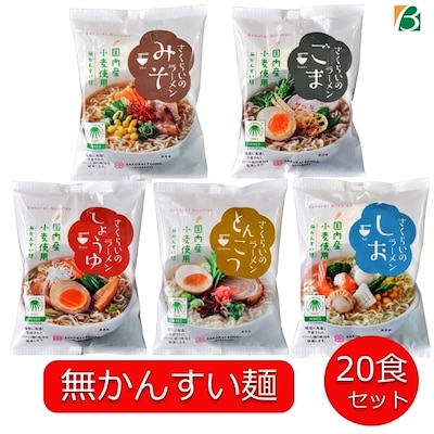 らーめん20食セット（5種 4食） 国内産小麦 かんすい不使用 添加物不使用 化学調味料不使