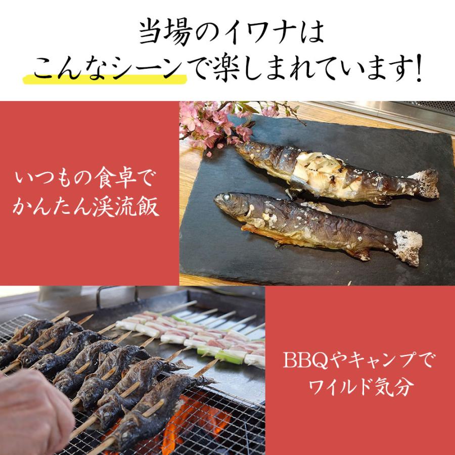 イワナ 岩魚 冷凍 川魚 養殖 骨酒 塩焼き 誕生日 ギフト 加熱用 10尾 串なしタイプ