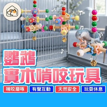 《家有毛孩🐾》鸚鵡實木啃咬玩具 吊掛攀爬玩具 益智玩具 啃咬彩珠串 鸚鵡磨嘴玩具 彩色掛件玩具 拉扯玩具 籠內掛件