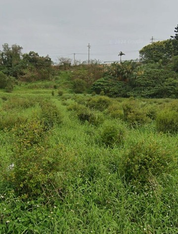 豐福段1046.77坪伊甸園｜新竹縣新豐鄉豐褔段