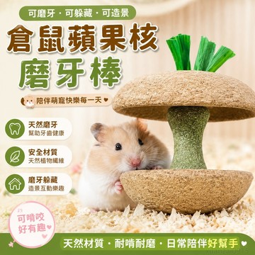 寵物省錢鋪】倉鼠蘋果核磨牙棒金絲熊倉鼠磨牙小零食耐磨躲避造景玩具用品 寵物用品 出貨 倉鼠飼料 寵物零食 toy