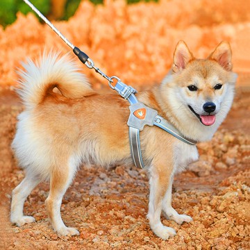 狗狗牵引绳刻字柴犬背心式胸背带宠物遛狗绳中小型犬法斗柯基项圈pd6071