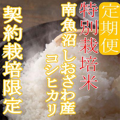 ふるさと納税 南魚沼市 ※特別栽培米2Kg※生産者限定 南魚沼しおざわ産コシヒカリ 全6回