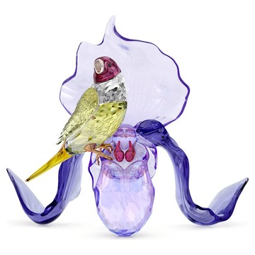 Idyllia 胡錦鳥與蘭花