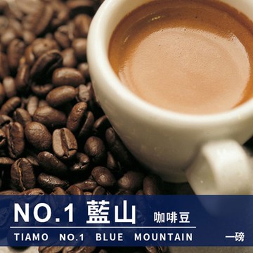 Tiamo NO.1藍山咖啡豆 450g (HL0546)