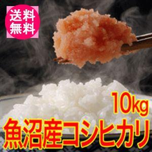 送料無料(北海道・九州・沖縄除く) 令和5年産 新米 最高級！魚沼十日町産コシヒカリ10kg