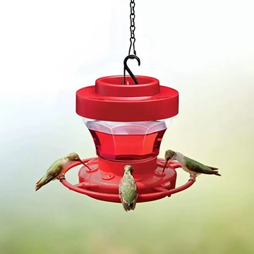 🎁免運！臺灣有貨🎁爆品Brid feeder鳥籠喂鳥器可拆卸懸掛蜂鳥寵物餵食器【可開票】