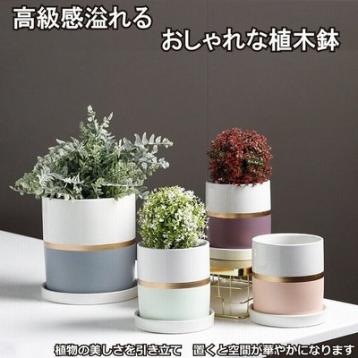 陶器鉢植木鉢おしゃれ鉢植えプランター円筒形室内鉢受け皿付き穴あり多肉植物観葉植物鉢 通販 Lineポイント最大get Lineショッピング