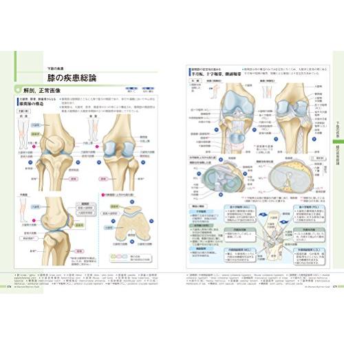 病気がみえるvol.11 運動器・整形外科