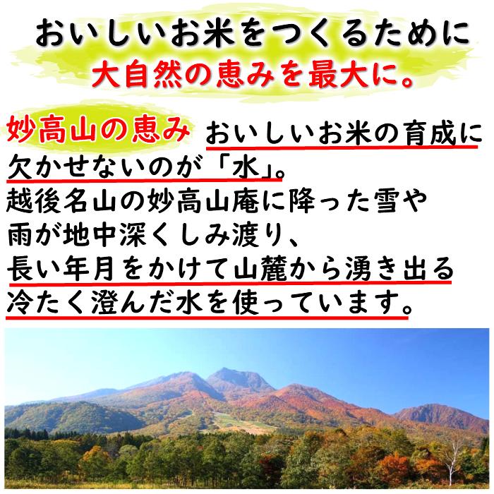 令和５年産　新潟県上越産　特別栽培米　新之助　精米１kg入 