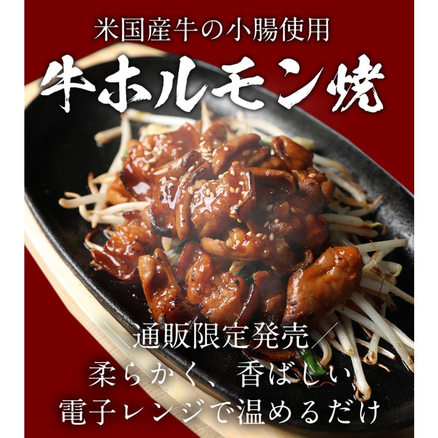 牛丼 牛丼の具 牛ホルモン焼き5個＆松屋オリジナルカレー15袋＆牛めしの具〜プレミアム仕様〜10個セット 通販限定発売 肉 絶品 仕送り 業務用 食品 おかず