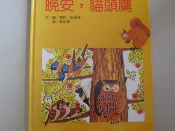 晚安,貓頭鷹[二手書_良好]