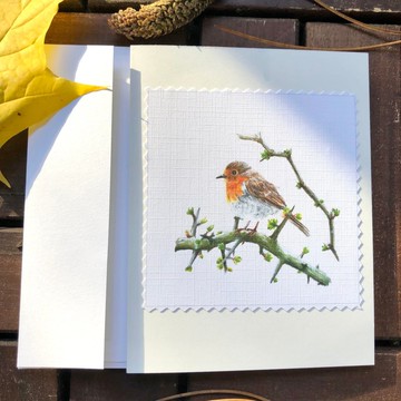 手工鳥類主題賀卡, 小鳥賀卡, 原創丙烯畫印製, 邀請函