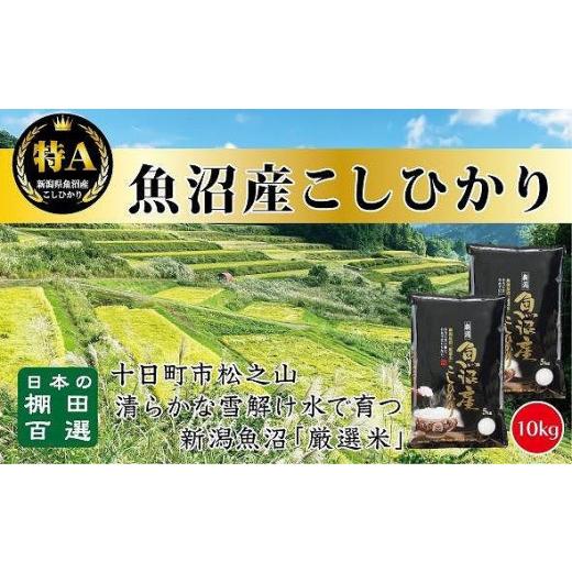 ふるさと納税 新潟県 食味鑑定士が選ぶ　日本棚田百選のお米　天空の里・魚沼産こしひかり　５kg×２