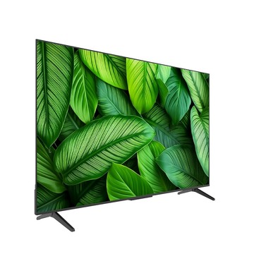 【SKYWORTH創維】65型 4K Google TV聯網顯示器 65G6500H-含標準安裝