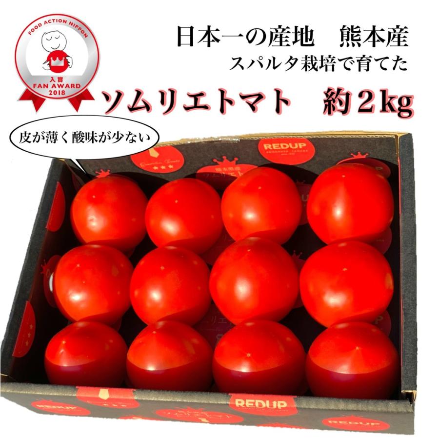 とまと 受賞歴３回！ソムリエ トマト 約２kg（８玉〜１６玉)