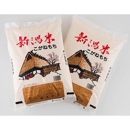 新米 令和5年産 もち米 特別栽培米 新潟産 精白米 こがねもち 5kg (10kg（5kg×2）)