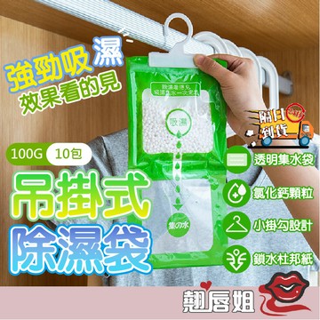 挑戰最超值 除濕袋【10包一袋】防潮袋 除濕 防潮 除溼包 除溼袋 衣櫃除溼包 掛式除濕包 掛式除濕劑 可掛式乾燥 除溼